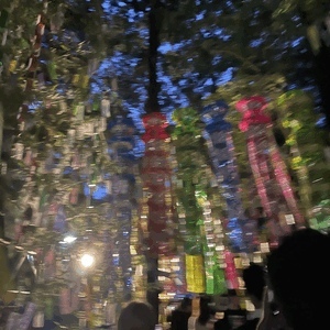 アリス