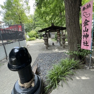 アリス