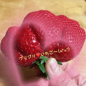 こんにちは〜(๑･̑◡･̑๑)