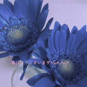 7月5日ʕʘ‿ʘʔ