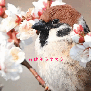 おはようございます^_−☆