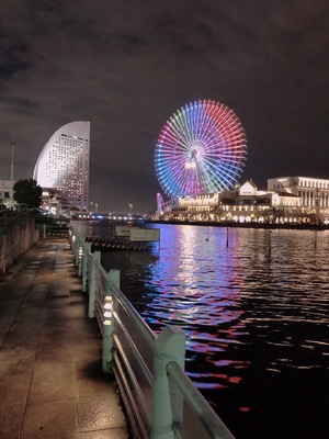 りく