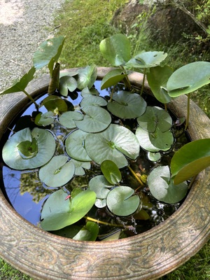 りく