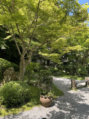 りく