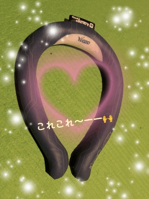 りく