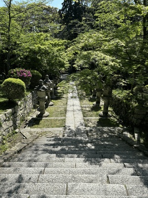 りく