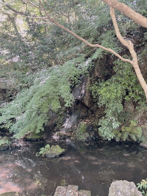 りく