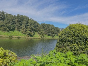 りく