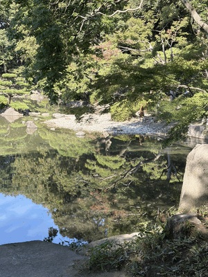 りく