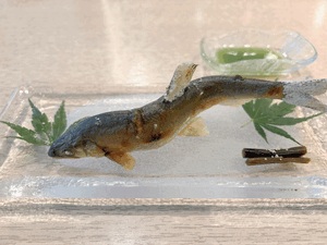 りく