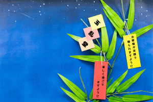 のえる