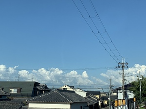 優花