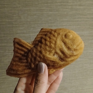 🐟🐟🐟
