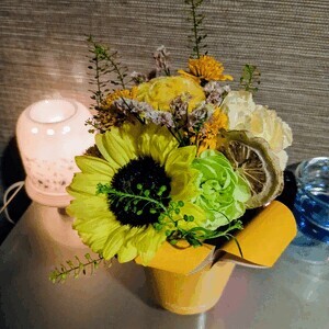 🌻🌻🌻