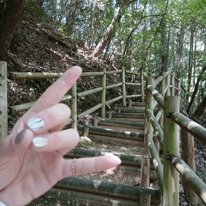 🌲🪵🌳