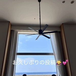 gn🌙