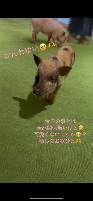 快楽玉乱堂 🐽