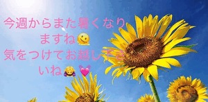 快楽玉乱堂 🥵🥵🥵