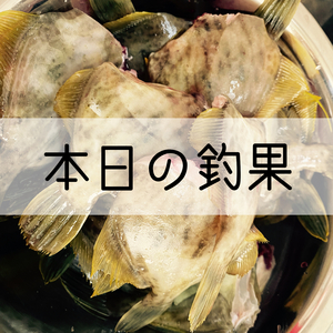 しの