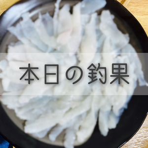しの