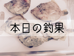 しの