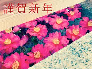 しの