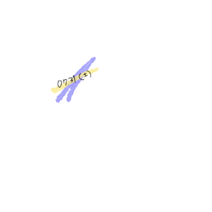 なぎさ