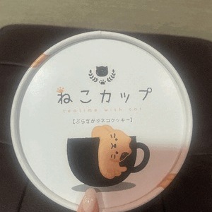 きょうも
