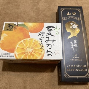 ほんとにすぐに