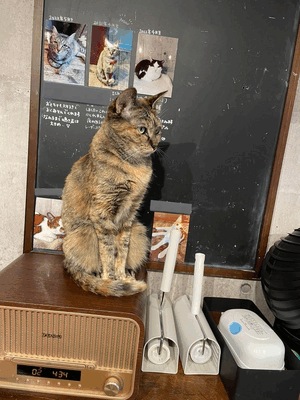 じゅん