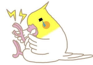 あやか