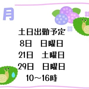 6月土日出勤