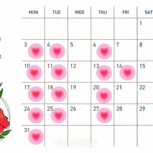 8月予定(仮)