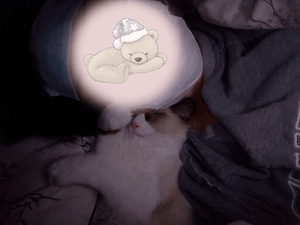 あすか