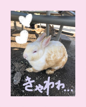 せんり