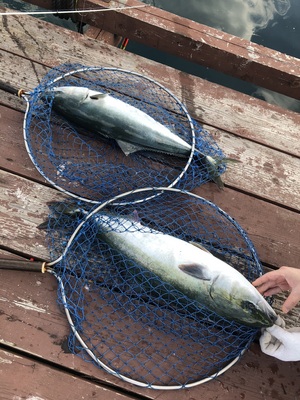 せんり