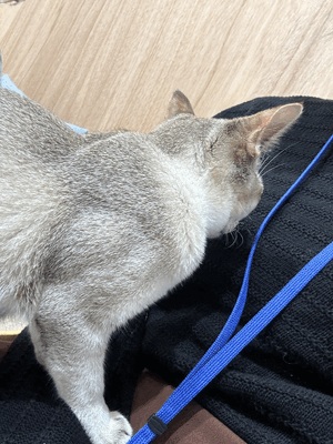 せんり