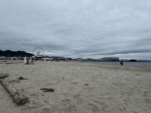 せんり