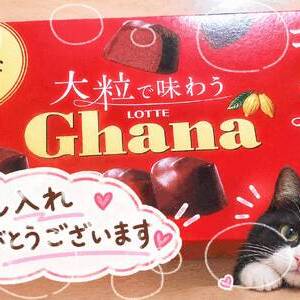 素敵な贈り物 ありがとうございます