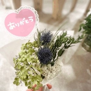 6月初☆