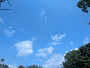 さえ