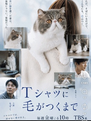 あん