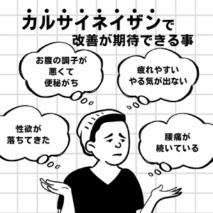 カルサイネイザン
