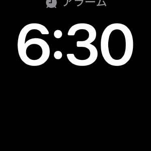カメラロールだいたいこれ