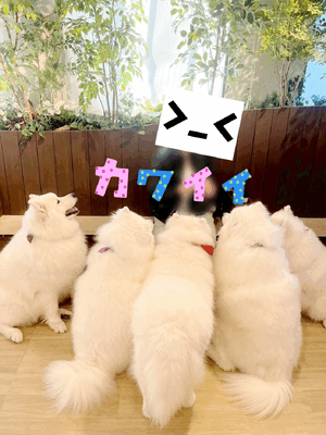 とも