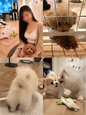 かんな