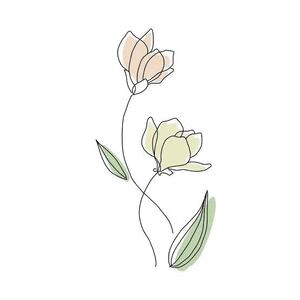 こはく