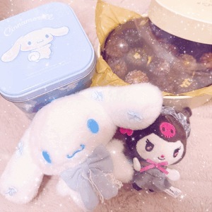 いまや相棒のシナモン🎀