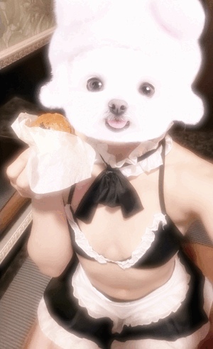メイ