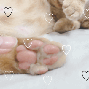 ♡